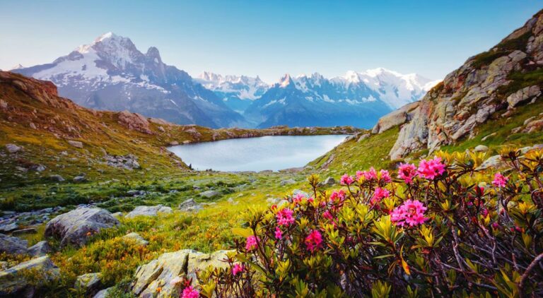 plan_avenir_montagne_417105261_Drupal-1